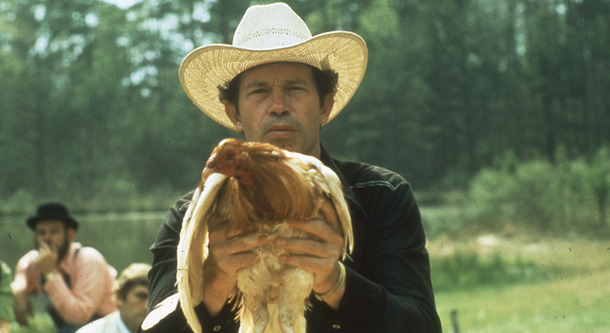 コックファイター