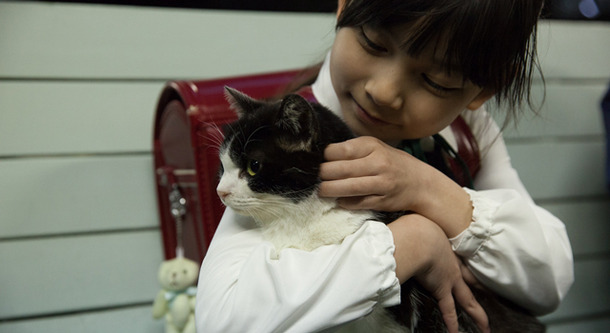 4／猫 -ねこぶんのよん-