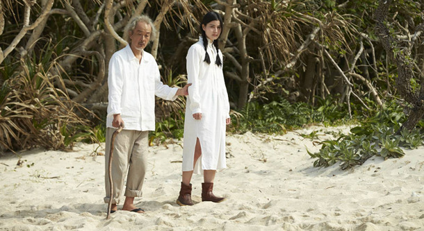 シェル・コレクター