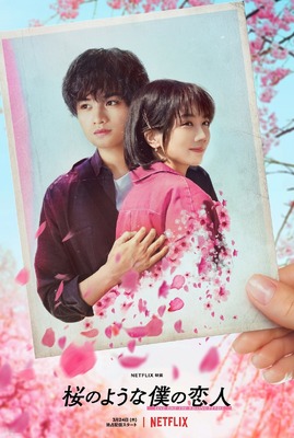 【Netflix映画】桜のような僕の恋人