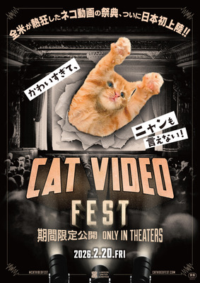 CatVideoFest