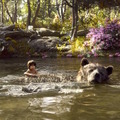 『ジャングル・ブック』の陽気なクマは、オスカー俳優を襲ったあのクマと“兄弟”!?・画像