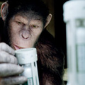 『猿の惑星』トム・フェルトンインタビュー「“悪役”を思いっきり楽しんだよ」・画像
