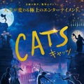 『キャッツ』猫たちの“一生に一度の特別な夜”、歌い踊る本予告・画像