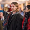 『ボブという名の猫』続編、日本公開決定！ クリスマスに起こった実話に基づく物語・画像