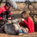 モフモフの赤ちゃんに癒やされる『ミアとホワイトライオン』特別映像・画像
