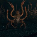エディ・レッドメインが物語の鍵を握る魔法動物たちを解説『ファンタビ』最新作特別映像・画像