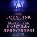 BLACKPINK大阪公演、U-NEXT見放題ライブ配信・画像
