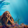 アリエル、海の底で人間の世界に思いを馳せる『リトル・マーメイド』メインビジュアル＆場面写真・画像