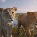 【特集】ディズニー史上最も切ない映画『ライオン・キング：ムファサ』。 あのスカーが“ヴィラン”になるまで“光と闇”を描く物語に期待・画像