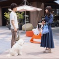 犬たちの“名演技”に絶賛集まる…「柔らかいキャラ」の成田凌も話題に「初恋DOGs」第1話・画像