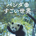 ジャイアントパンダの一生に迫るドキュメンタリー『パンダのすごい世界』2026年2月6日公開・画像