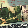 “スパークルホース”マーク・リンカスの軌跡に迫るドキュメンタリー『悲しくて美しい世界／THIS IS SPARKLEHORSE』4月公開・画像