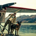 ブラッド・ピット主演、退役軍人と愛犬“バディ”のサバイバル描く『ハート・オブ・ビースト』9月全世界同時公開 ティザー予告解禁・画像