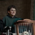 「HBO Max on Hulu」が10月サービス開始　ドラマ「ハリー・ポッター」Huluで12月下旬配信へ・画像