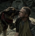 ブラッド・ピット「本当に素晴らしい」人間と犬の絆に注目『ハート・オブ・ビースト』特別映像・画像